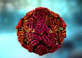 nilo cfg|El virus del Nilo Occidental se extiende por Andalucía y .